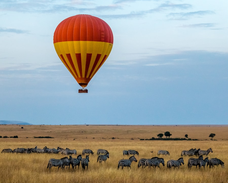 6-Day Big Five Safari