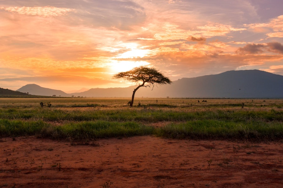 10-Day Golden Savannah Safari