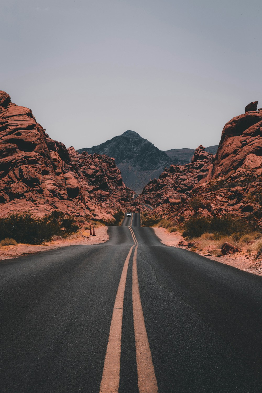 Golden safari landscape at sunset