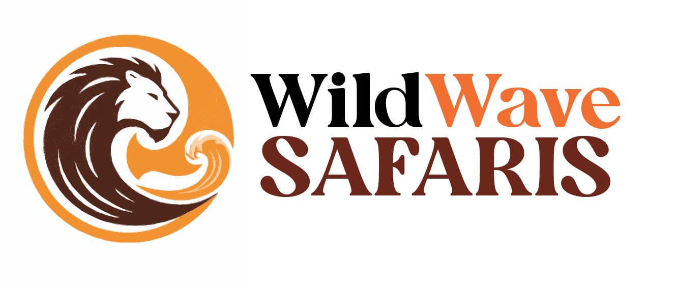 WildWave Safaris logo