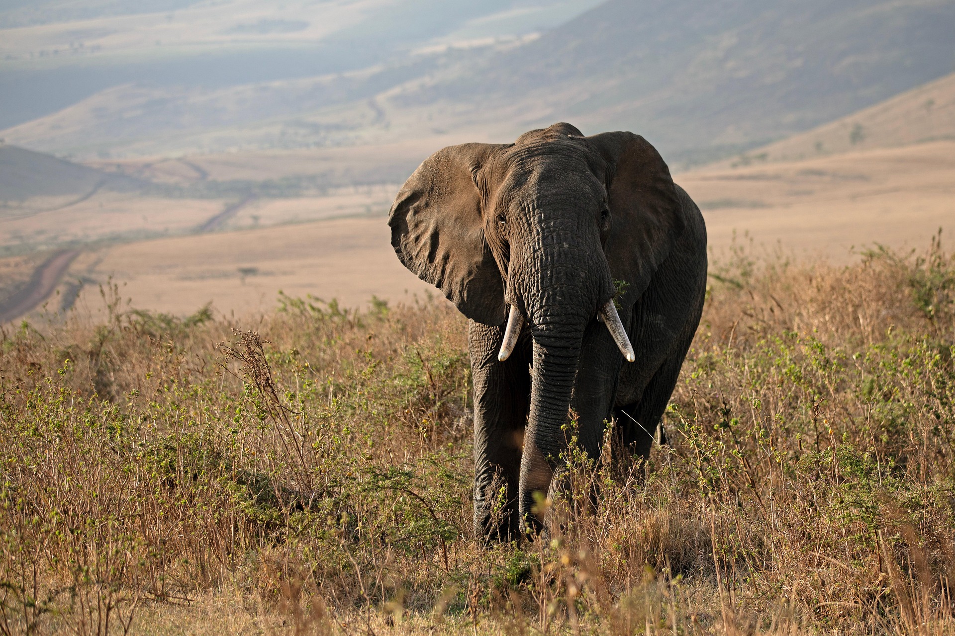 5-Day Coast to Wilderness Safari safari photo