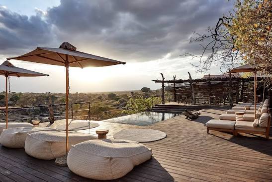 7-Day Tanzania Luxury Safari Escape safari photo