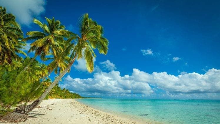 5-Day Coast to Wilderness Safari