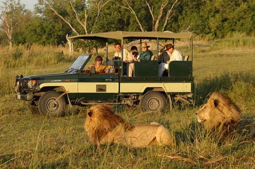 5-Day Ol Pejeta Rhino and Maasai Mara Safari safari photo