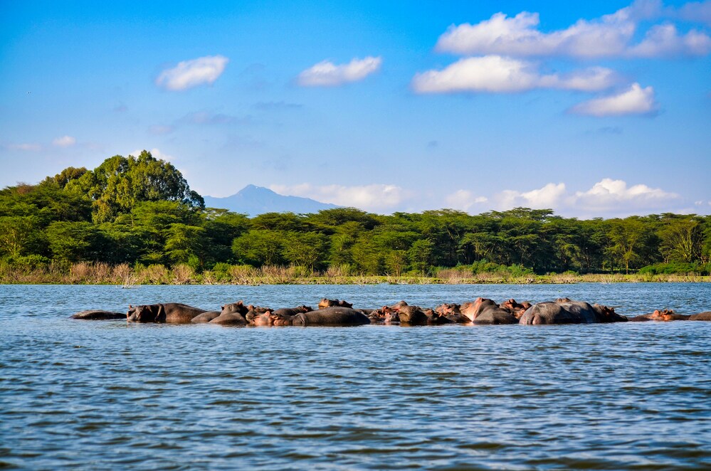 7-Day Sopa Lodges Safari safari photo