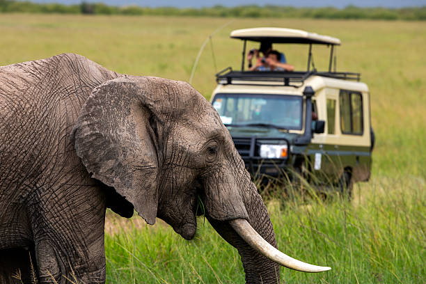 9-Day Combo Safari & Zanzibar Tour safari photo