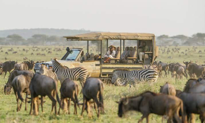 10 Days Tanzania Serengeti Luxury Safari & Ngorongoro Crater